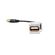 Keystone-USB-Extensao-AVUEXBR-Av-Life-1