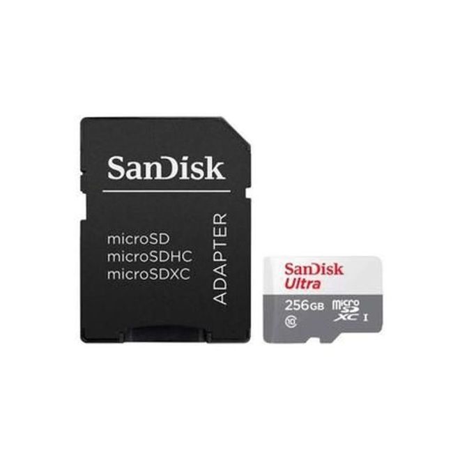 Cartão Memoria MicroSD 256GB Classe 10 SDSQUNR-256G-GN6TA Sandisk