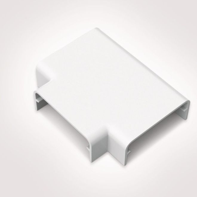 2138700001-Image-1